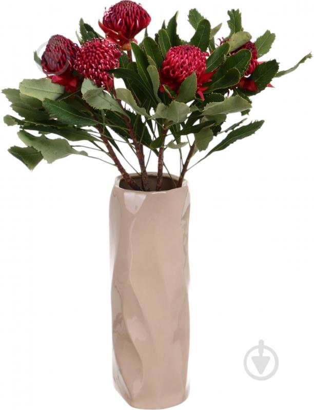 Телопея Waratah 50 см малиновый - фото 5 Телопея Waratah 50 см малиновый - фото 5