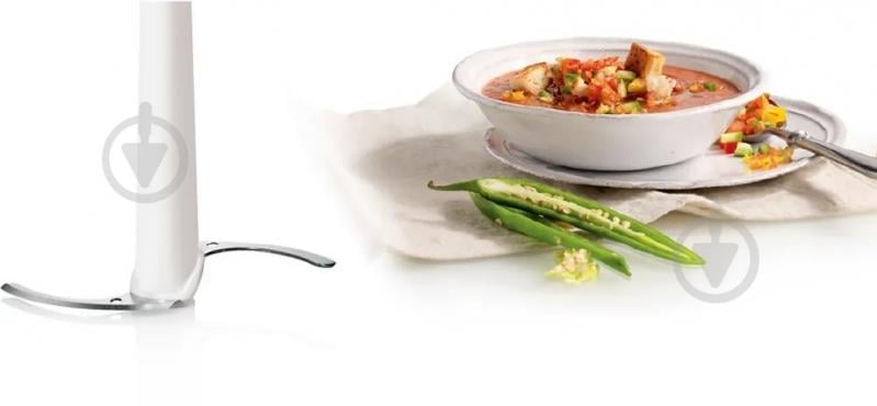 Измельчитель Bosch MMR08A1 - фото 10