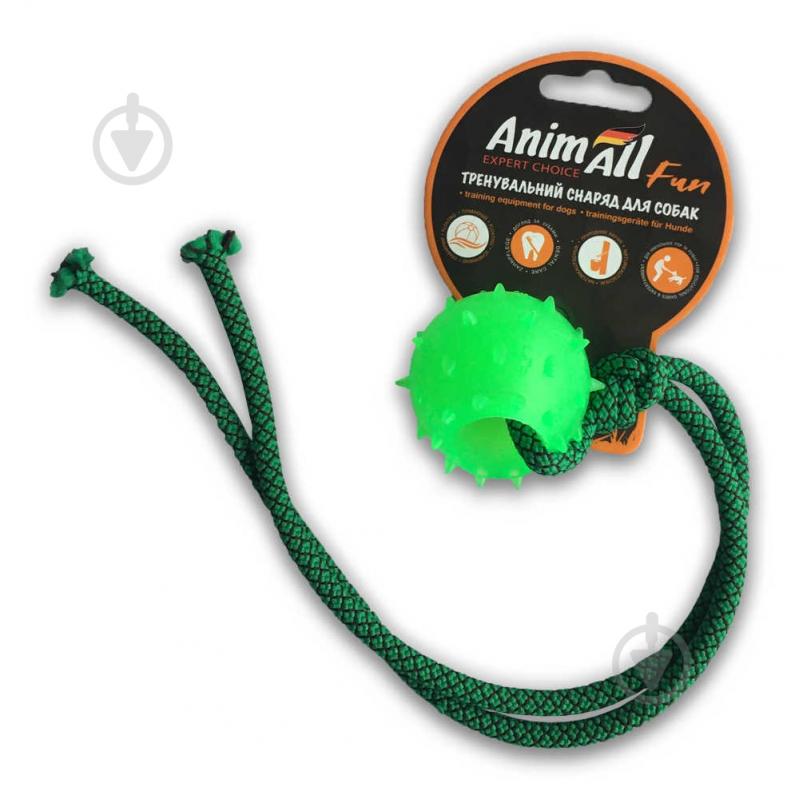 Игрушка для собак AnimAll Шар с канатом 4 см зеленый 88175 - фото 1 Игрушка для собак AnimAll Шар с канатом 4 см зеленый 88175 - фото 1