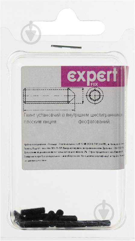 Гвинт метричний 3х8 мм БП DIN 914 3x8 мм 15 шт. Expert Fix - фото 2