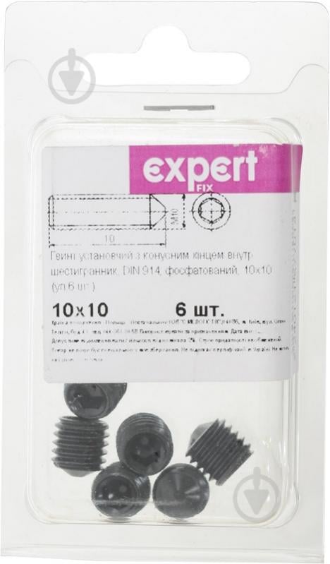 Гвинт інсталяційний М10х10 мм Expert Fix DIN 914 6 шт. - фото 2