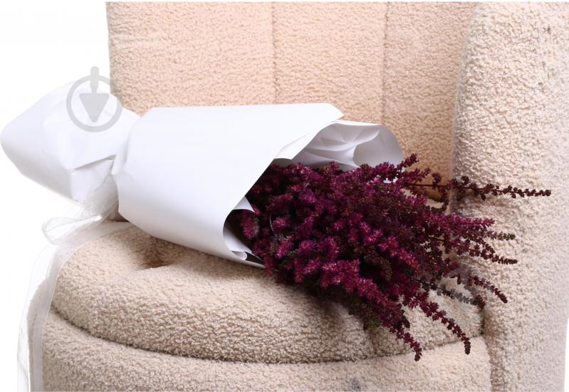 Астильба Else Schluck красная (Нидерланды) - фото 3