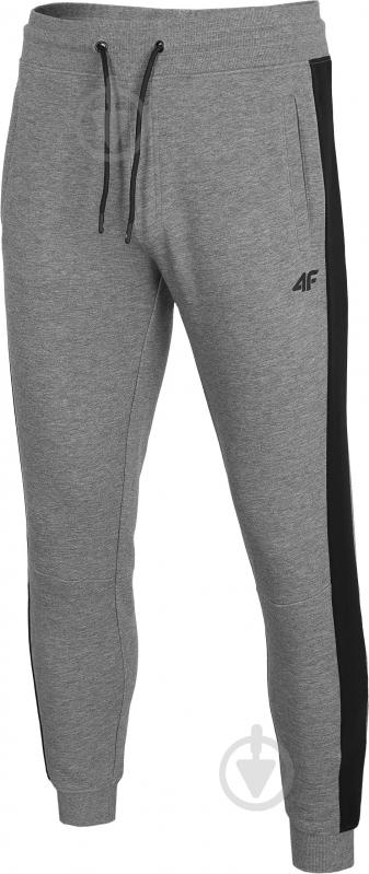 Брюки 4F D4Z20-SPMD306-24M р. L серый - фото 1