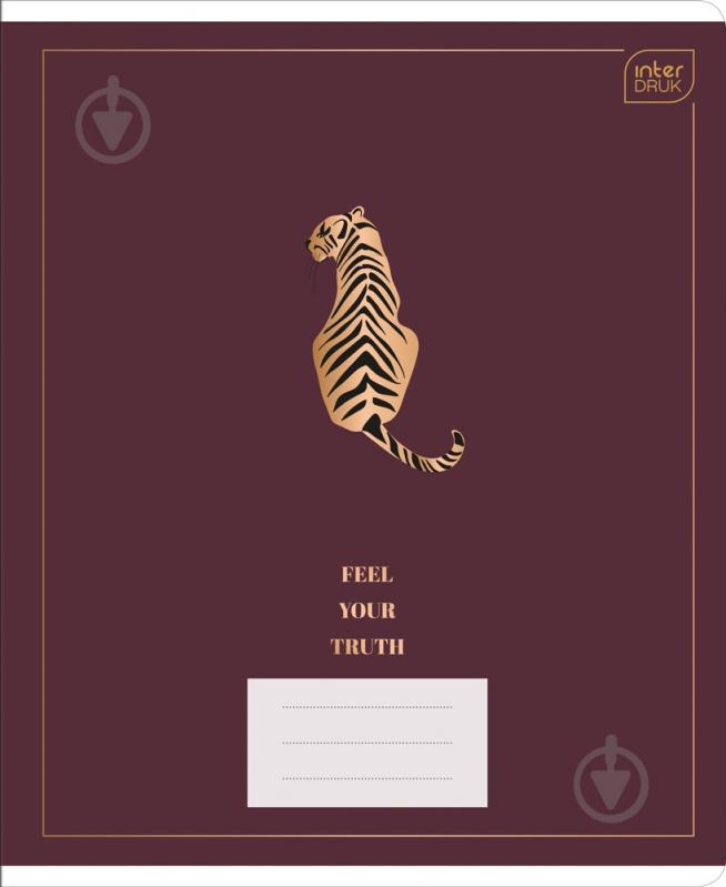 Тетрадь школьная MIX 2 А5 32 лист. линейка InterDRUK - фото 4 Тетрадь школьная MIX 2 А5 32 лист. линейка InterDRUK - фото 4