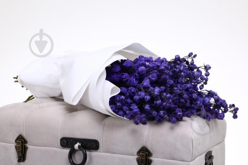 Дельфиниум 50 см синий (Нидерланды) - фото 5