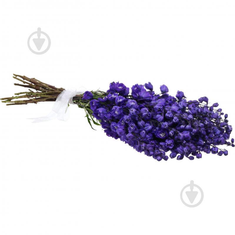 Дельфиниум 50 см синий (Нидерланды) - фото 4