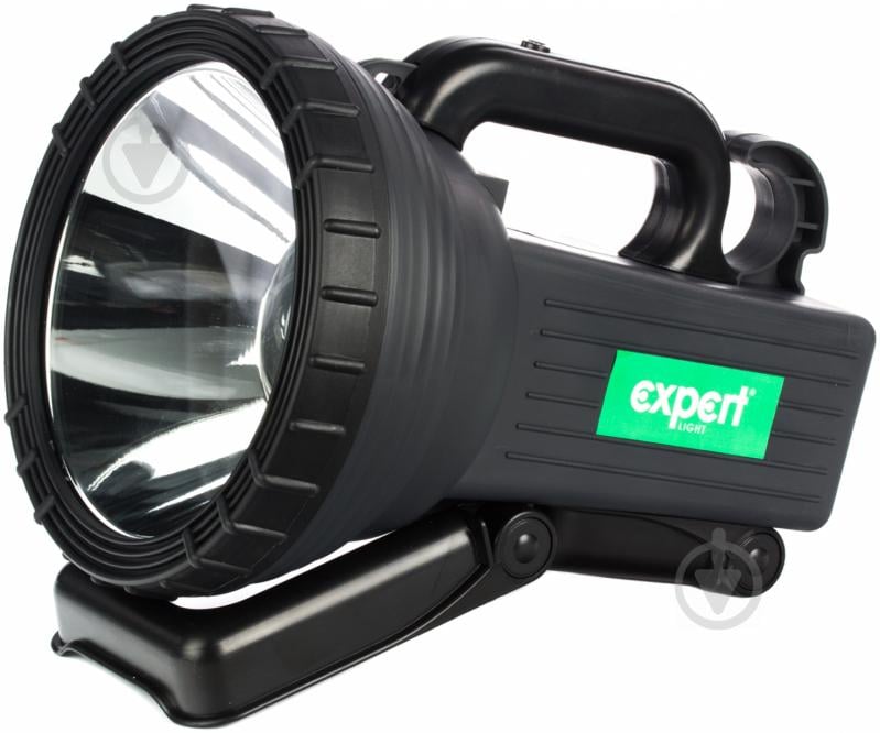 Ліхтар Expert Expert light EGD-FL019-10WCREEb чорний - фото 2