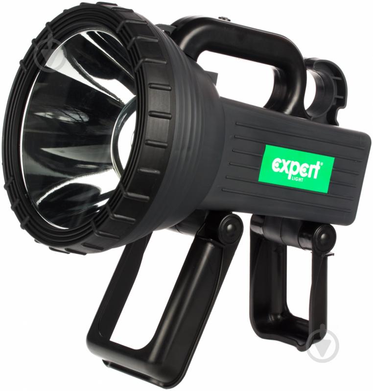 Ліхтар Expert Expert light EGD-FL019-10WCREEb чорний - фото 1