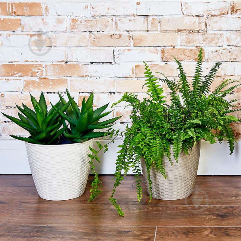 Горщик Алеана Ротанг з підставкою 30,0х27,5 см круглий 14 л біла троянда (1115026) - фото 3