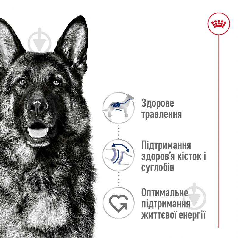 Корм сухой Royal Canin Maxi Ageing 8+ 3 кг (кукуруза, пшеница, рис) 3 кг - фото 6 Корм сухой Royal Canin Maxi Ageing 8+ 3 кг (кукуруза, пшеница, рис) 3 кг - фото 6