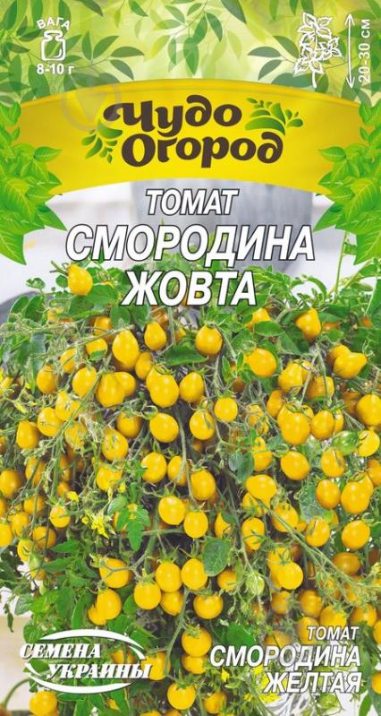 Насіння Насіння України томат низькорослий Смородина Жовта 0,1 г - фото 1