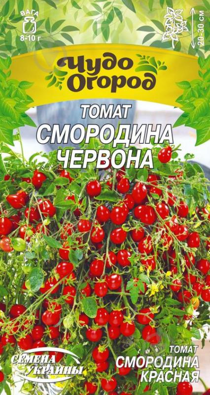 Насіння Насіння України томат низькорослий Смородина Червона 0,1 г - фото 1