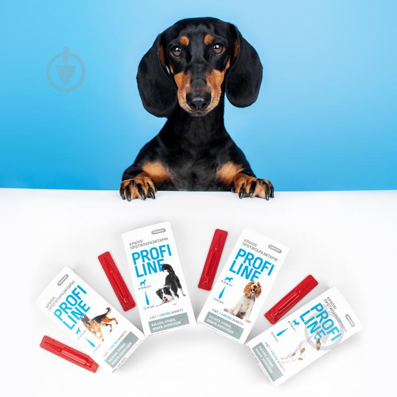 Капли ProVET для собак 10-20 кг Profiline от блох, клещей, паразитов, вшей, 4 пипетки по 2,0 мл - фото 6 Капли ProVET для собак 10-20 кг Profiline от блох, клещей, паразитов, вшей, 4 пипетки по 2,0 мл - фото 6