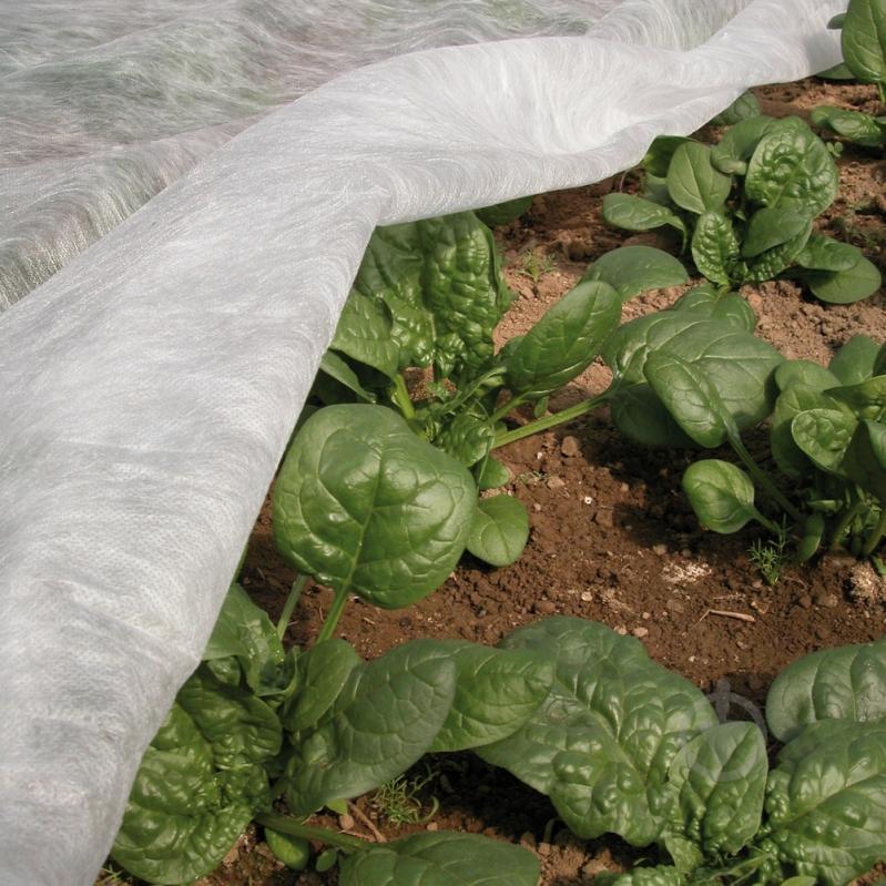 Агроволокно TENAX Ortoclima Plus 1.6 x 10 м - фото 3