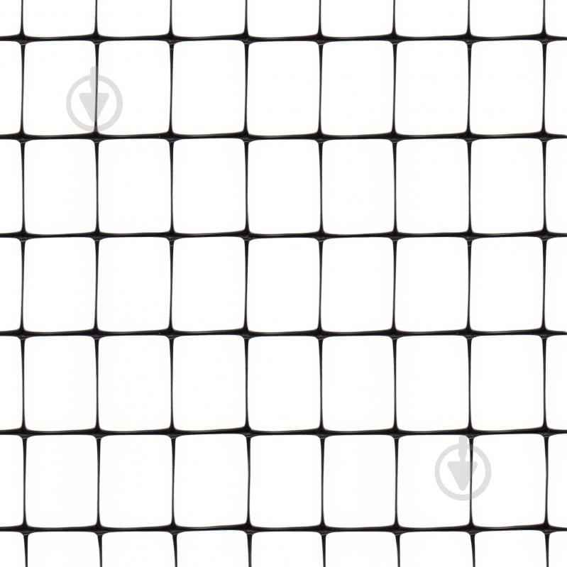 Сетка полимерная TENAX Aviary 2х10 м черная - фото 1 Сетка полимерная TENAX Aviary 2х10 м черная - фото 1