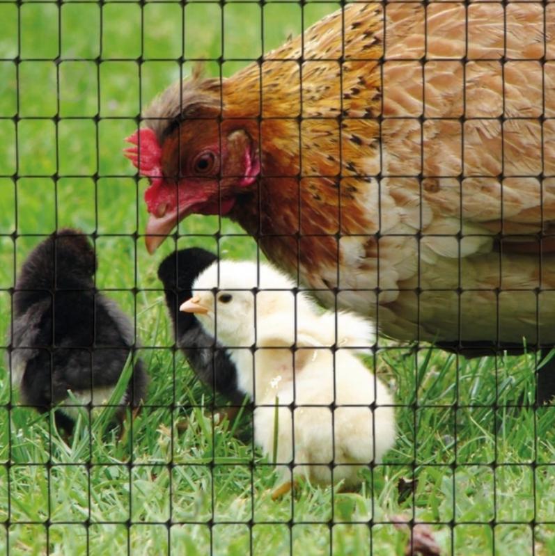 Сетка полимерная TENAX Aviary 2х10 м черная - фото 4 Сетка полимерная TENAX Aviary 2х10 м черная - фото 4