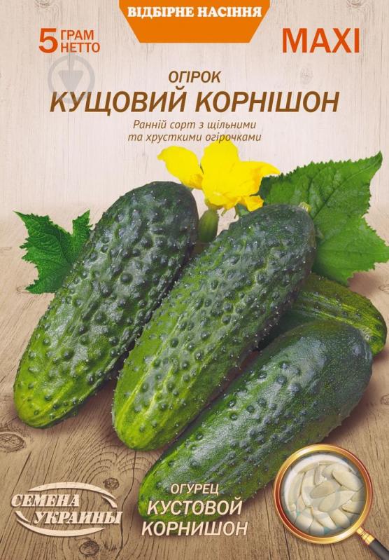 Семена Насіння України огурец Кустовой Корнишон 5 г - фото 1