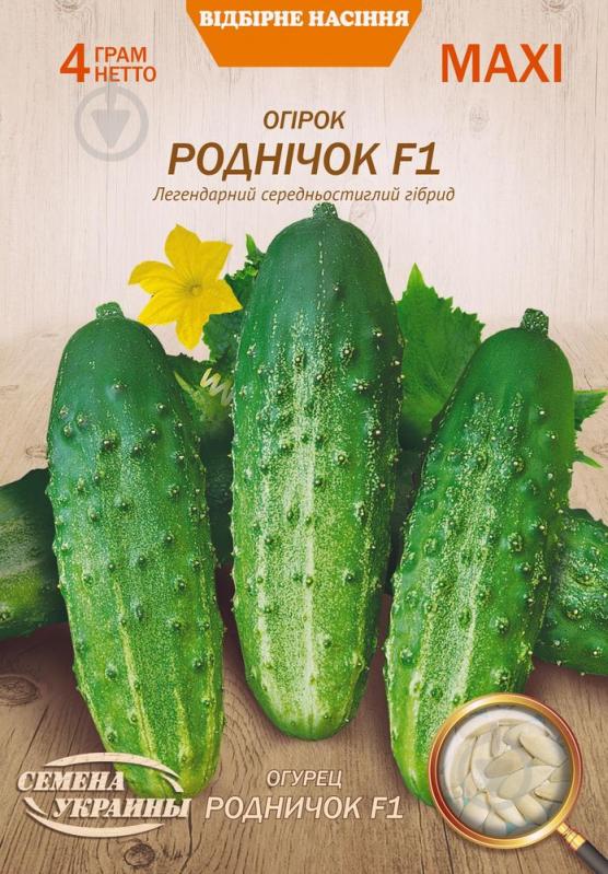 Семена Насіння України огурец Родничок F1 4 г (4823099803774) - фото 1