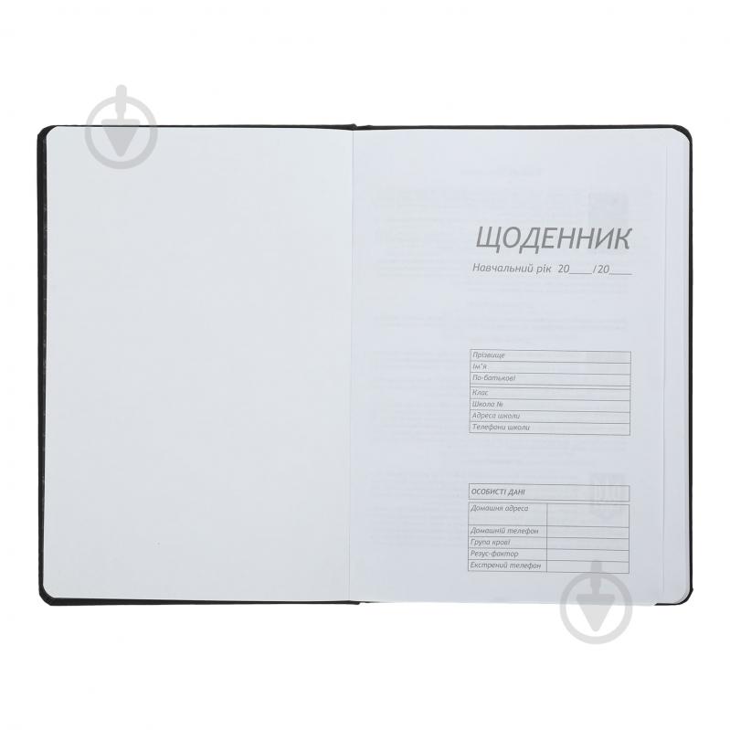 Щоденник шкільний SILVER В5 48 арк. ZiBi - фото 3