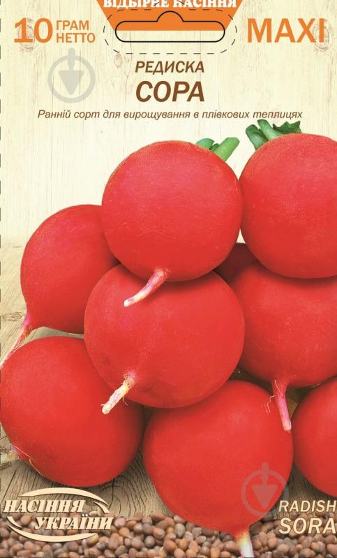 Семена Насіння України редис Сора 10 г (4823099812110) - фото 1