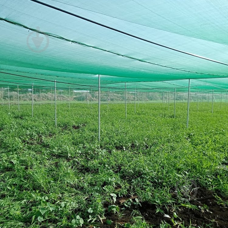 Сетка затеняющая Agreen 95% 4,0х50м темно-зеленая - фото 7