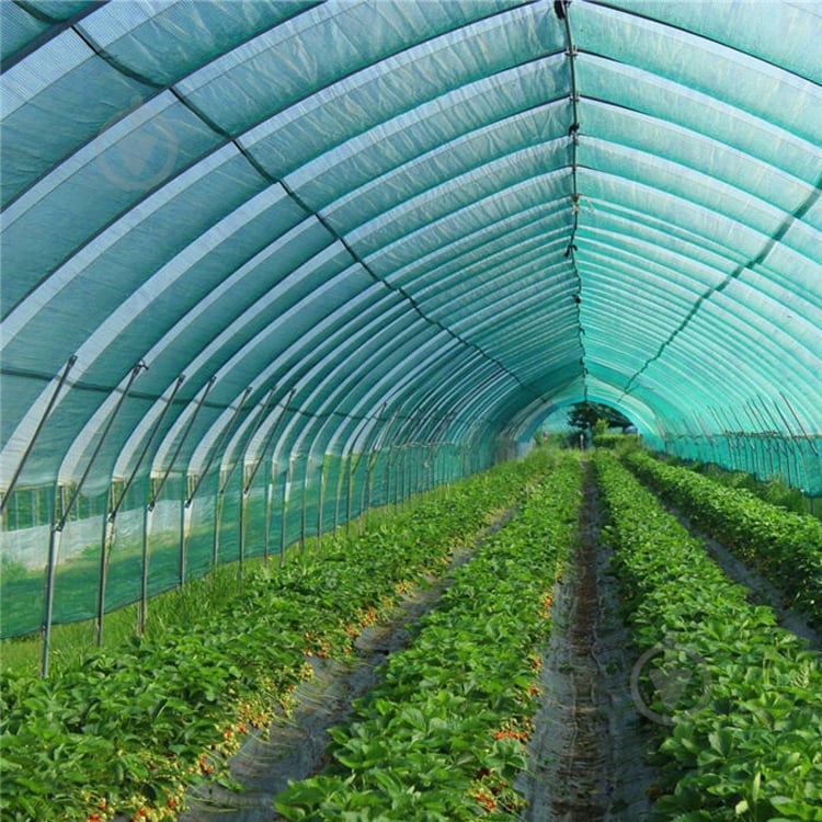 Сетка затеняющая Agreen 95% 4,0х50м темно-зеленая - фото 8