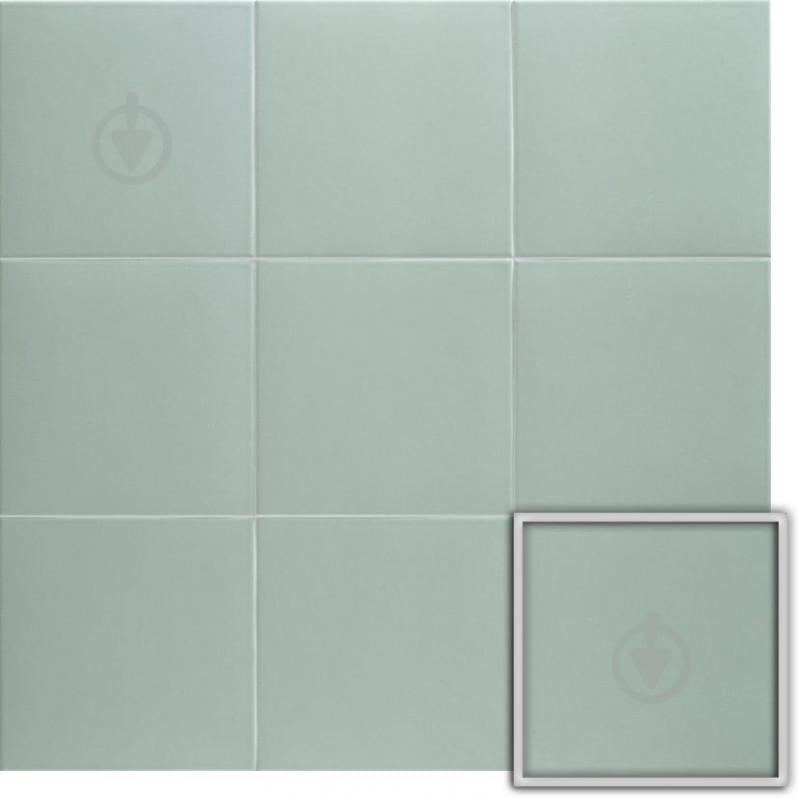 Плитка Mainzu Technical Soft Aloe 20х20 см - фото 1