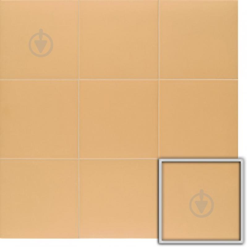 Плитка Mainzu Technical Soft Tangerine 20х20 см - фото 1 Плитка Mainzu Technical Soft Tangerine 20х20 см - фото 1