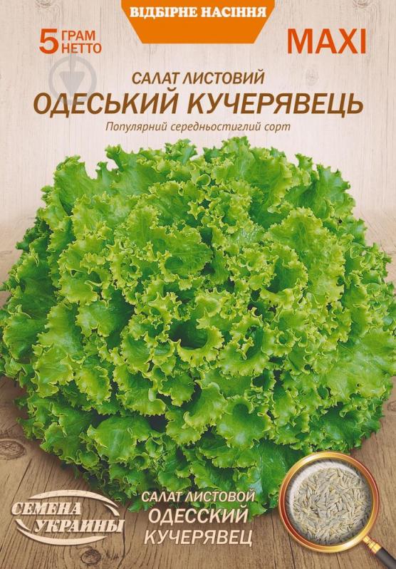 Насіння Насіння України салат листовий Одеський Кучерявець 5 г - фото 1