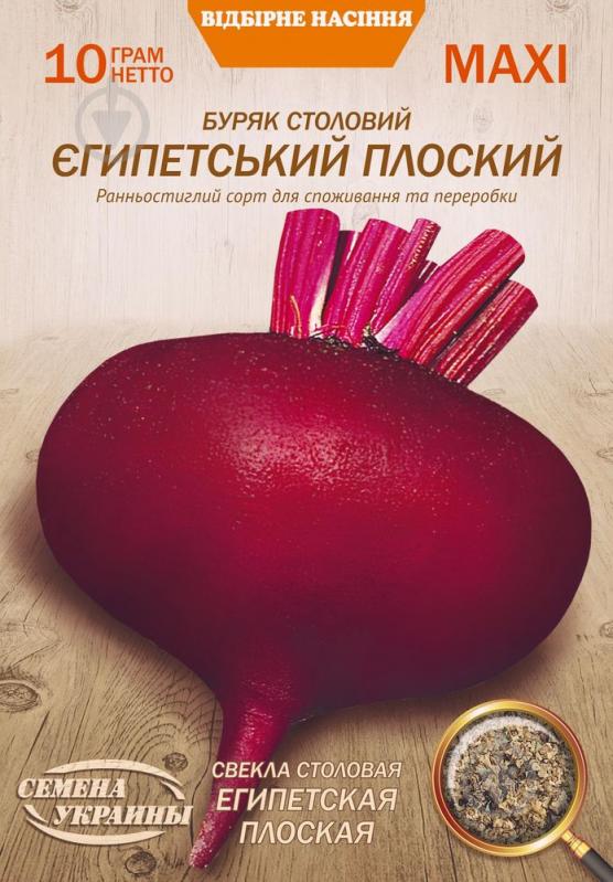 Семена Насіння України свекла столовая Египетская Плоская 10 г - фото 1