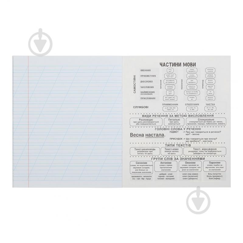 Тетрадь школьная DOGS 12 лист. коса линия KIDS LINE ZiBi - фото 5 Тетрадь школьная DOGS 12 лист. коса линия KIDS LINE ZiBi - фото 5