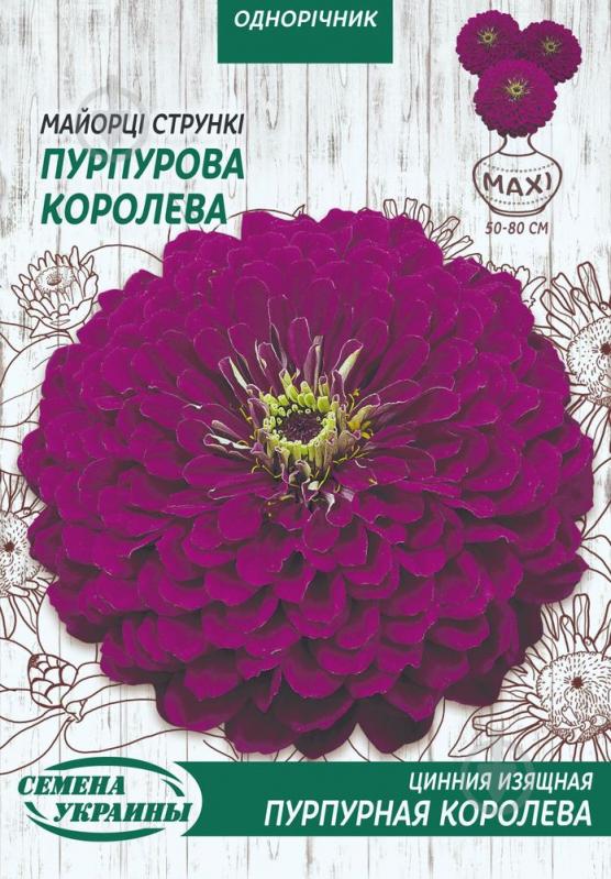 Насіння Насіння України майорці Стрункі Пурпурова Королева 5 г - фото 1