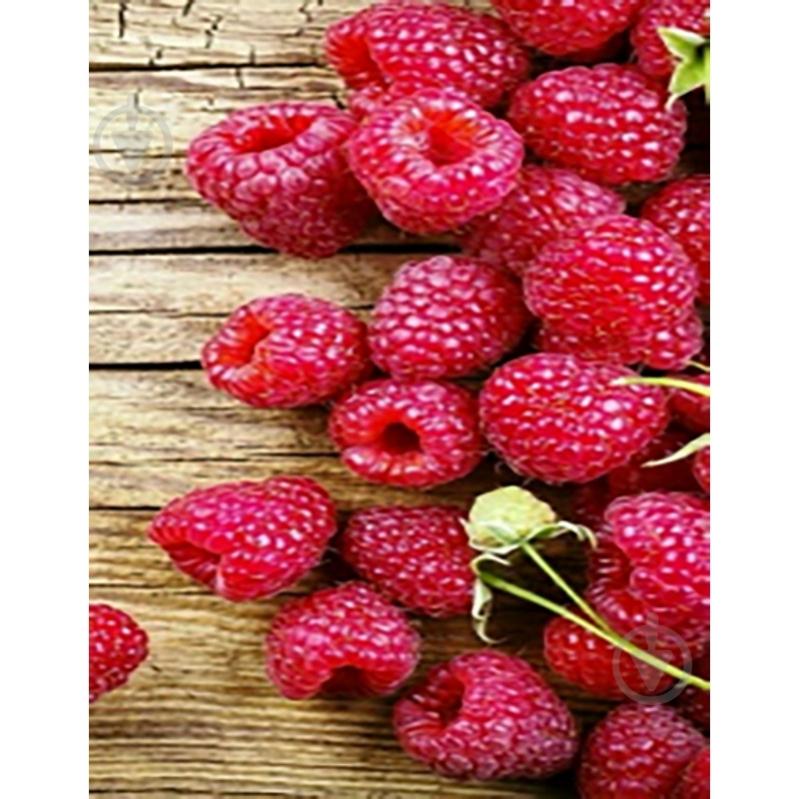 Набор для детского творчества Strateg Алмазная картина 40х50 см в ассортименте - фото 4 Набор для детского творчества Strateg Алмазная картина 40х50 см в ассортименте - фото 4