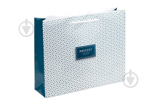 Пакет подарунковий Present for man горизонтальний 25x31x8 см - фото 1 Пакет подарунковий Present for man горизонтальний 25x31x8 см - фото 1