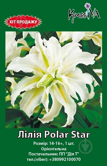 Луковица лилия Polar Star 1 шт. - фото 1