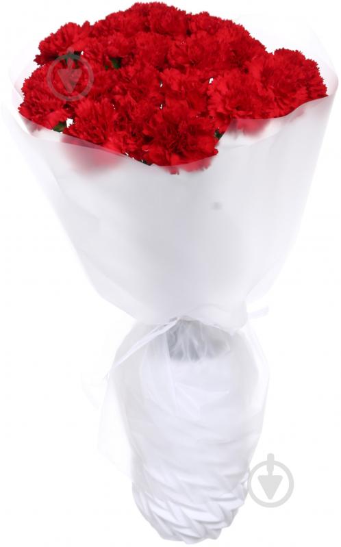 Гвоздика одноголовая 55 см красный (Нидерланды) - фото 4 Гвоздика одноголовая 55 см красный (Нидерланды) - фото 4