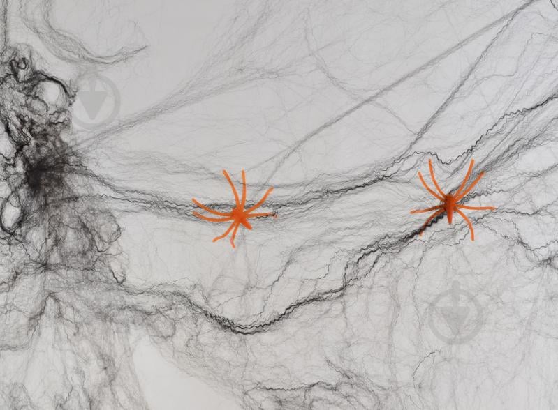 Набор декоративный Fun Паутина черная с двумя пауками 20 г 973366 YES - фото 1