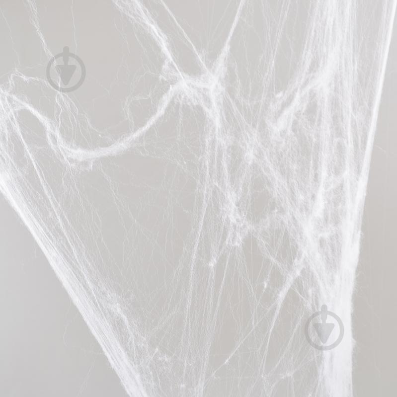 Набір декоративний Павутина біла з двома павучками 40 г 973370 YES - фото 1 Набір декоративний Павутина біла з двома павучками 40 г 973370 YES - фото 1