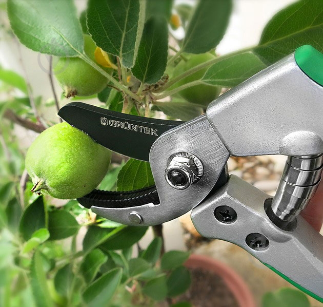 Секатор Gruntek Tukane (295195180) - фото 3
