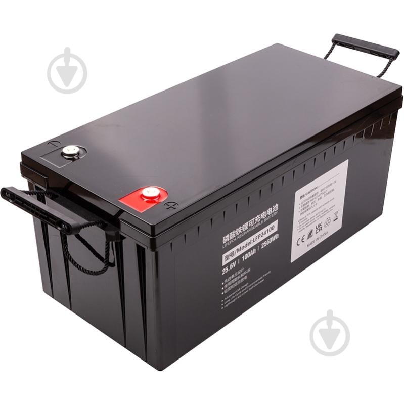 Аккумулятор PowerPlant LiFePO4 24V 100Ah (LFP24100) - фото 2