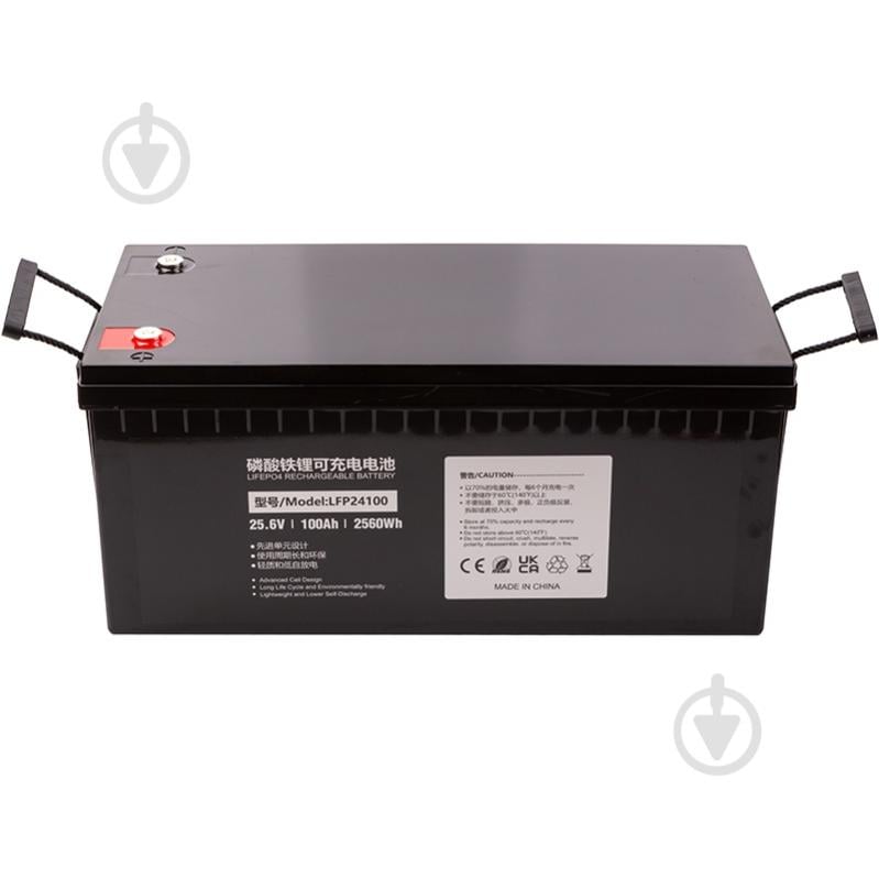 Аккумулятор PowerPlant LiFePO4 24V 100Ah (LFP24100) - фото 3
