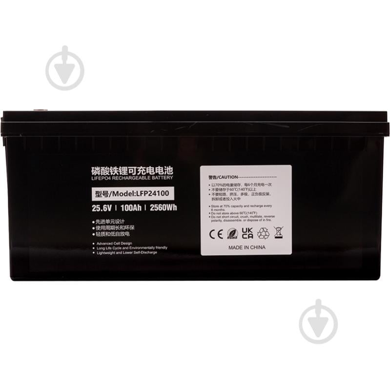 Аккумулятор PowerPlant LiFePO4 24V 100Ah (LFP24100) - фото 1