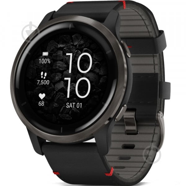 Смарт-часы Garmin Venu 2 Black + Slate (010-02430-21) - фото 1