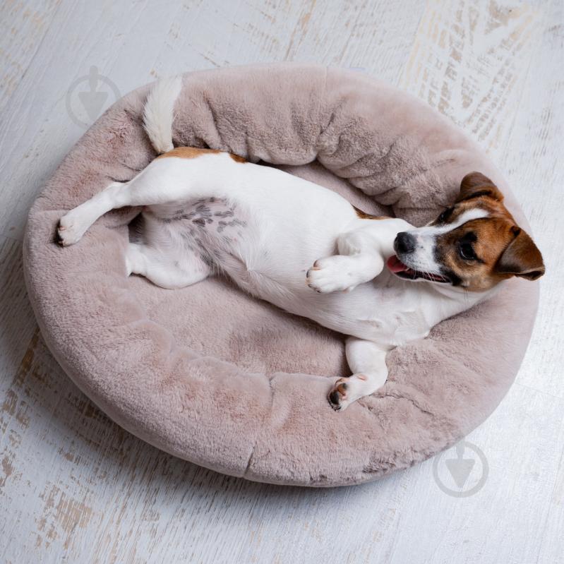 Лежак Fanny Animals 55 см мокко - фото 2