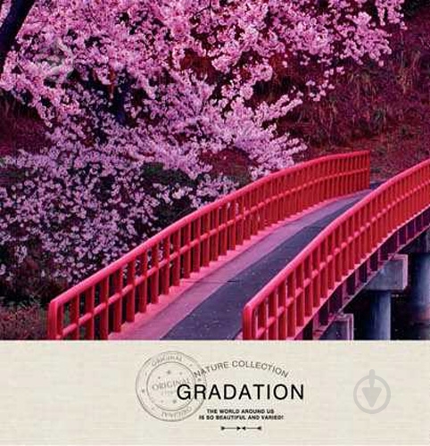 Блокнот 200*200/64 интег., Глянец + фольга августа Gradation YES - фото 1