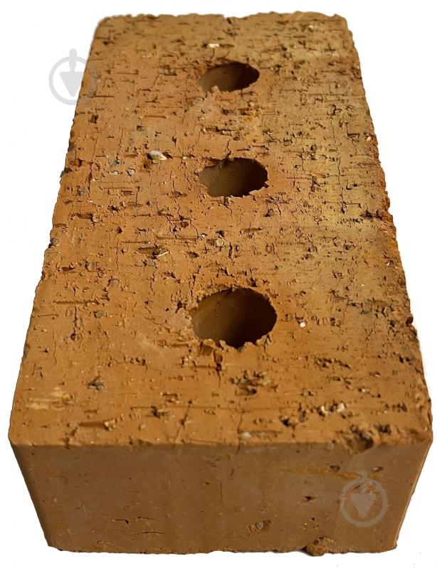 Кирпич рядовой полнотелый М-100 - фото 2