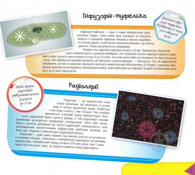 Книга «Підводний світ 3+» 978-617-690-455-7 - фото 2