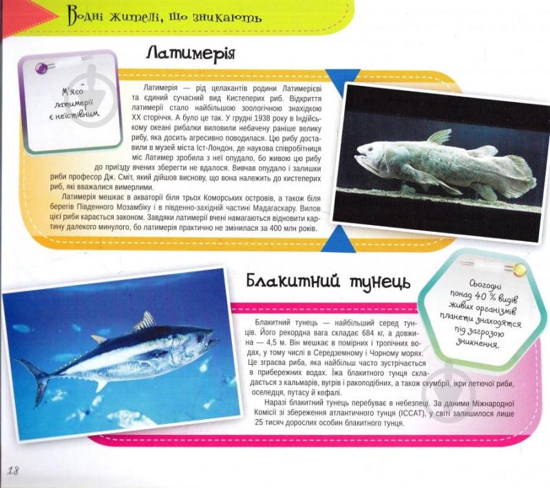 Книга «Підводний світ 3+» 978-617-690-455-7 - фото 4