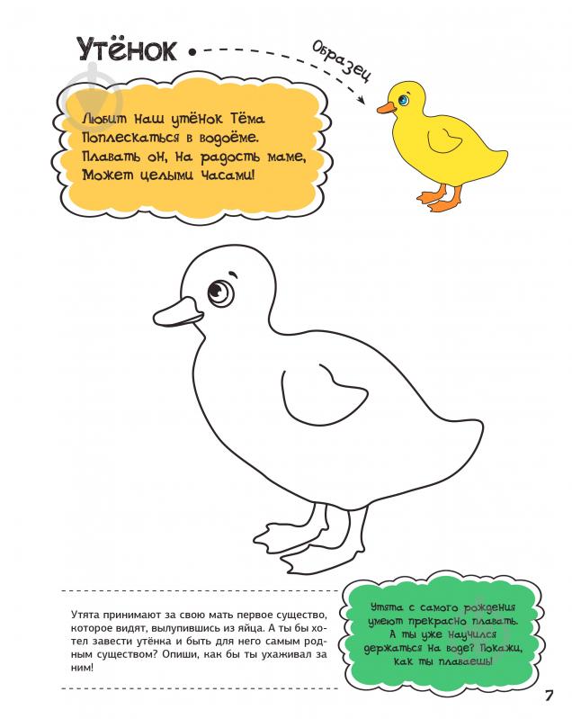 Раскраска Анна Алешичева «У бабушки в деревне» 978-617-690-812-8 - фото 6 Раскраска Анна Алешичева «У бабушки в деревне» 978-617-690-812-8 - фото 6