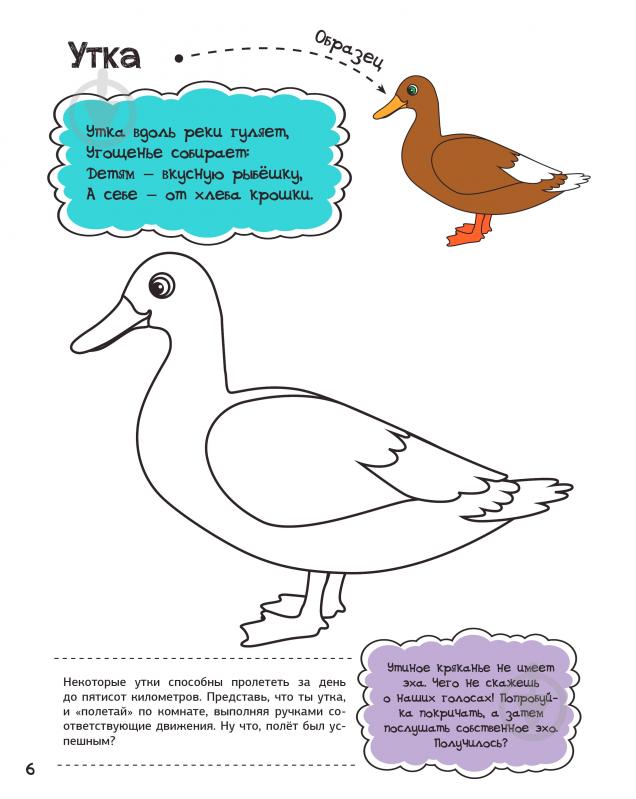 Раскраска Анна Алешичева «У бабушки в деревне» 978-617-690-812-8 - фото 5 Раскраска Анна Алешичева «У бабушки в деревне» 978-617-690-812-8 - фото 5